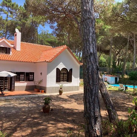 Moradia No Pinhal Com Piscina - Espaco E Privacidade Para As Suas Ferias! Sintra Zewnętrze zdjęcie