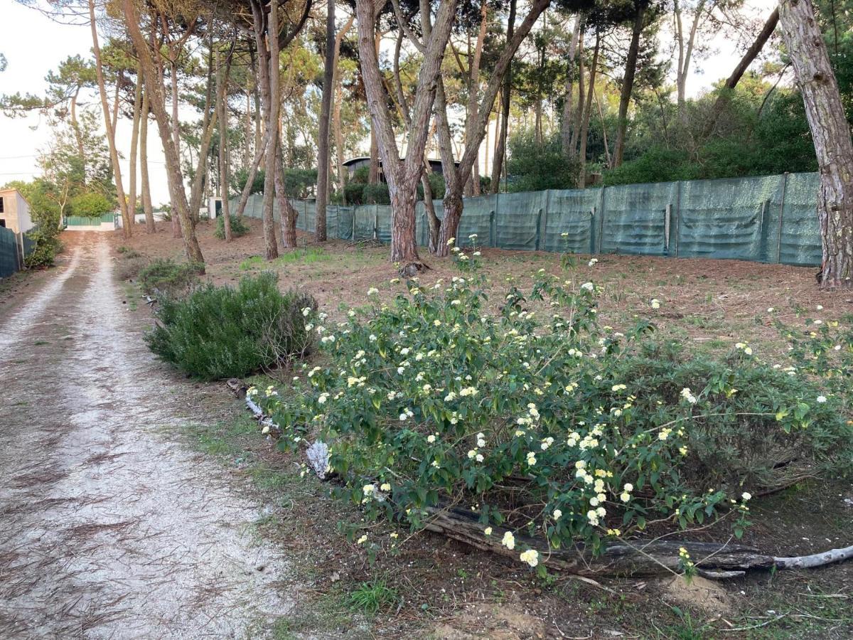 Moradia No Pinhal Com Piscina - Espaco E Privacidade Para As Suas Ferias! Sintra Zewnętrze zdjęcie